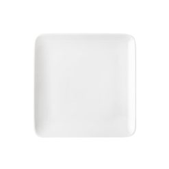 Degrenne Paris Modulo Blanc | Assiettes Plates